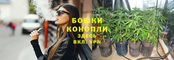 spice Абаза