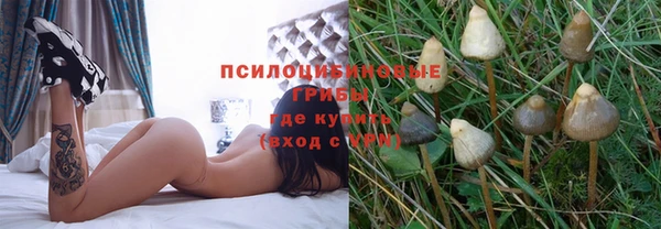 spice Абаза
