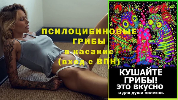 спайс Приозерск