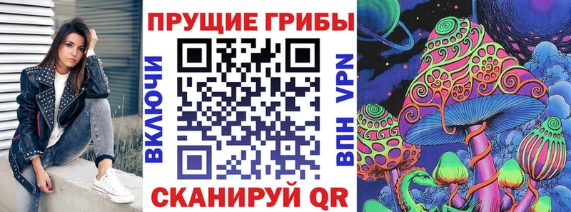 наркошоп  Фокино  Псилоцибиновые грибы Cubensis 